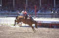 cowboy bronco ride Vintage A4 Photo Print