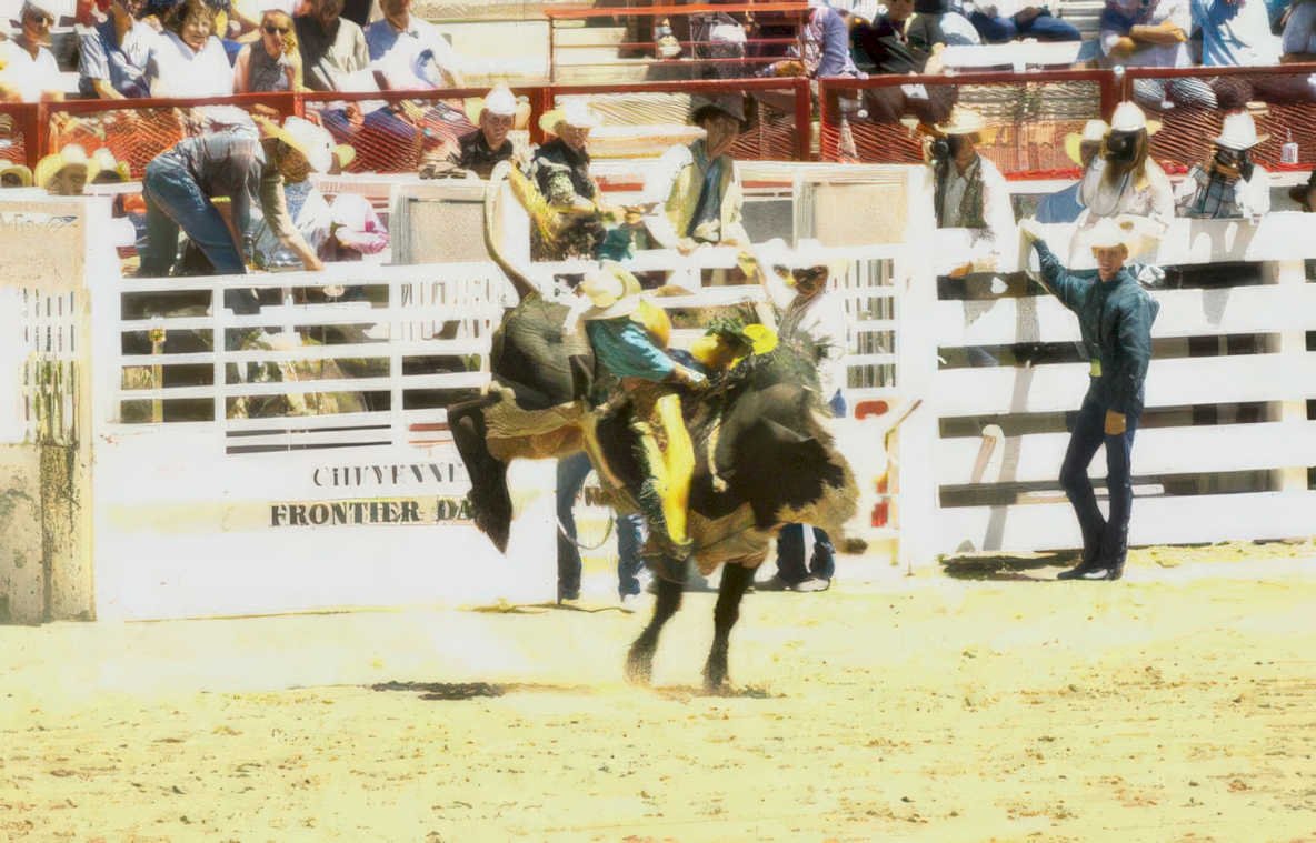 cowboy bull cheyenne Vintage A4 Photo Print