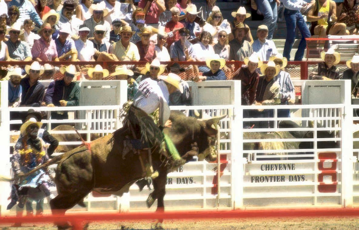 cowboy bull rider Vintage A4 Photo Print