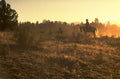 cowboy horse sunset 1980s 1990s A4 Photo Print