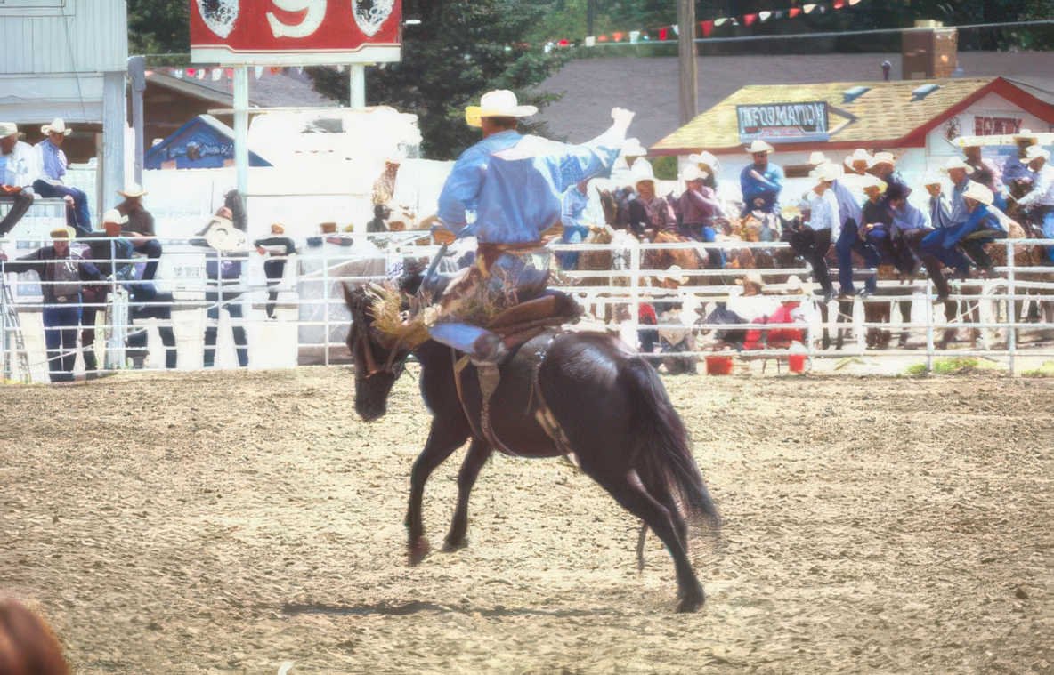 cowboy rodeo action Vintage A4 Photo Print