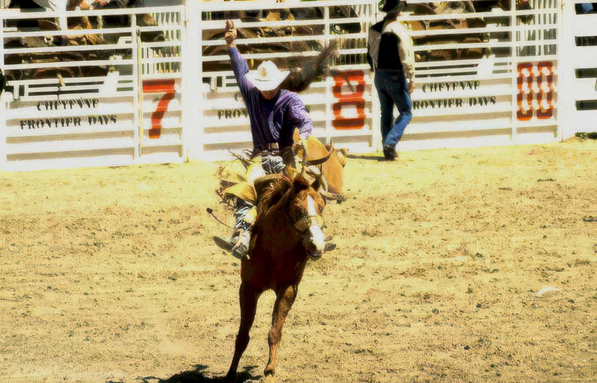 cowboy rodeo cheyenne 1 Vintage A4 Photo Print