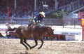 cowboy rodeo cheyenne 2 Vintage A4 Photo Print