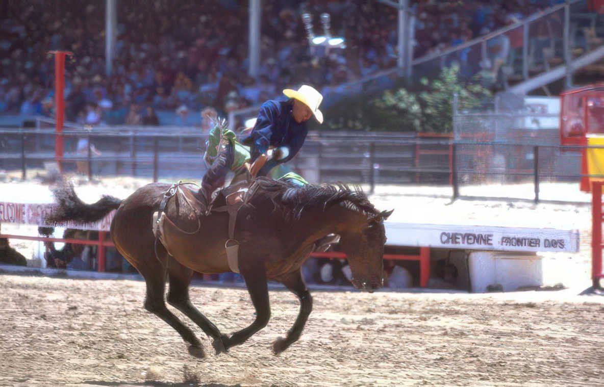 cowboy rodeo cheyenne 2 Vintage A4 Photo Print