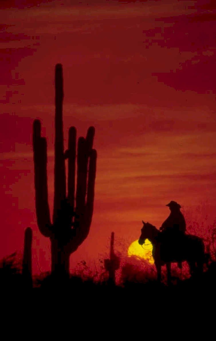 cowboy sunset saguaro 1980s 1990s A4 Photo Print