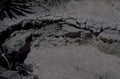 cracked mud desert 1980s 1990s A4 Photo Print