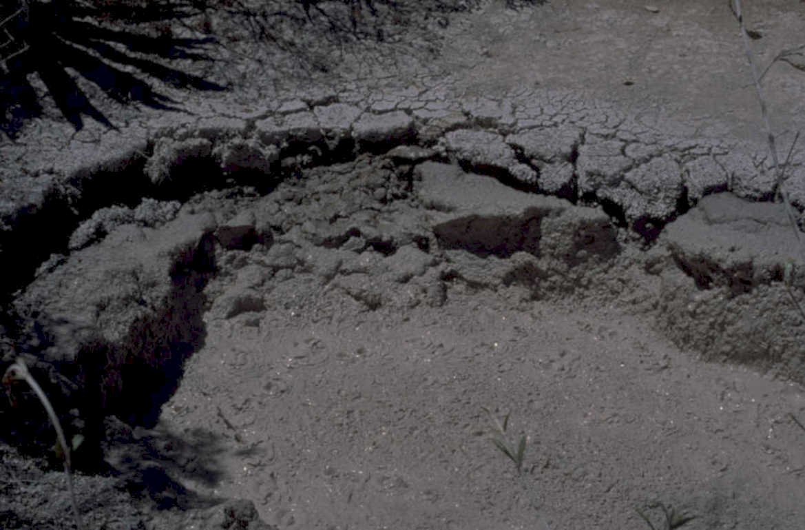 cracked mud desert 1980s 1990s A4 Photo Print