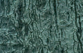 cracked tree bark Vintage A4 Photo Print