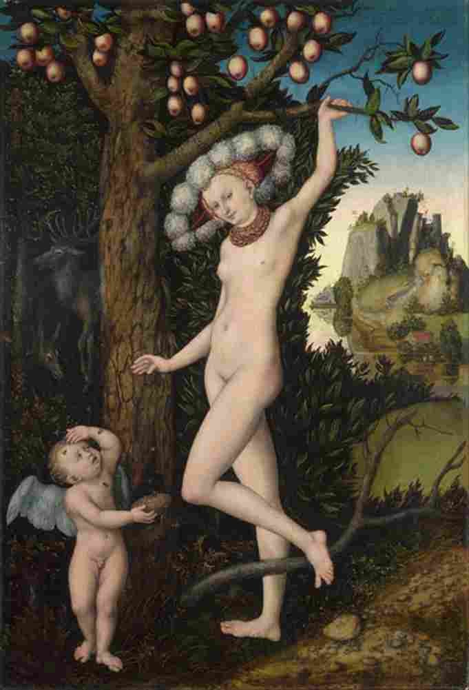 cranach cupid complaining to venus Art A4 Photo Print