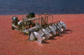 cranberry harvester machine 1980s 1990s A4 Photo Print