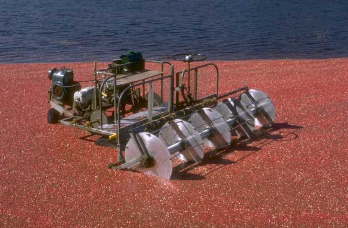 cranberry harvester machine 1980s 1990s A4 Photo Print