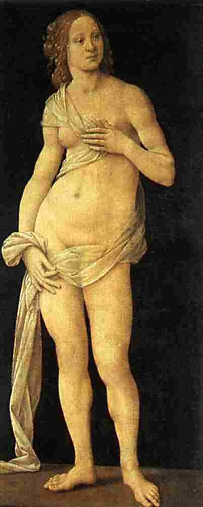 credi venus Art A4 Photo Print