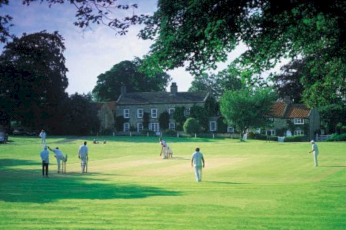 cricket manor shadows UK GB British A4 Photo Print