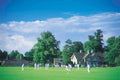 cricket match players UK GB British A4 Photo Print