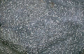 crinoid stems shale Vintage A4 Photo Print