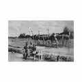 croatia brijuni nojevi u ogradenom prostoru Vintage A4 Photo Print
