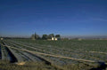 crops farm valley 1980s 1990s A4 Photo Print