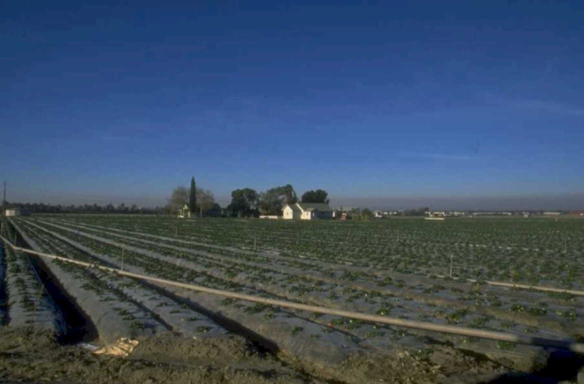 crops farm valley 1980s 1990s A4 Photo Print