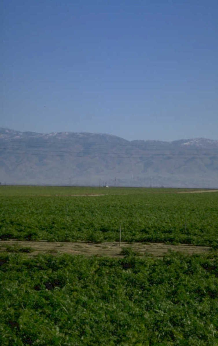 crops mountains sky 1980s 1990s A4 Photo Print