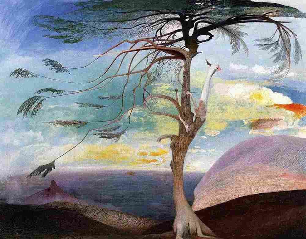 cso The Solitary Cedar Art A4 Photo Print