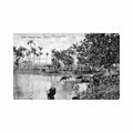 cuba cuban pastoral scene ed harris bros co Vintage A4 Photo Print