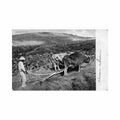 cuba el labrador cubano ed desconocido Vintage A4 Photo Print