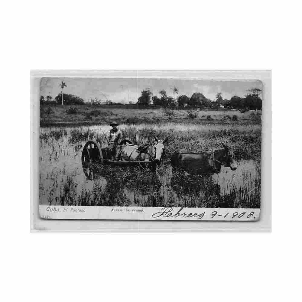 cuba el pantano across the swamp ed desconocido Vintage A4 Photo Print