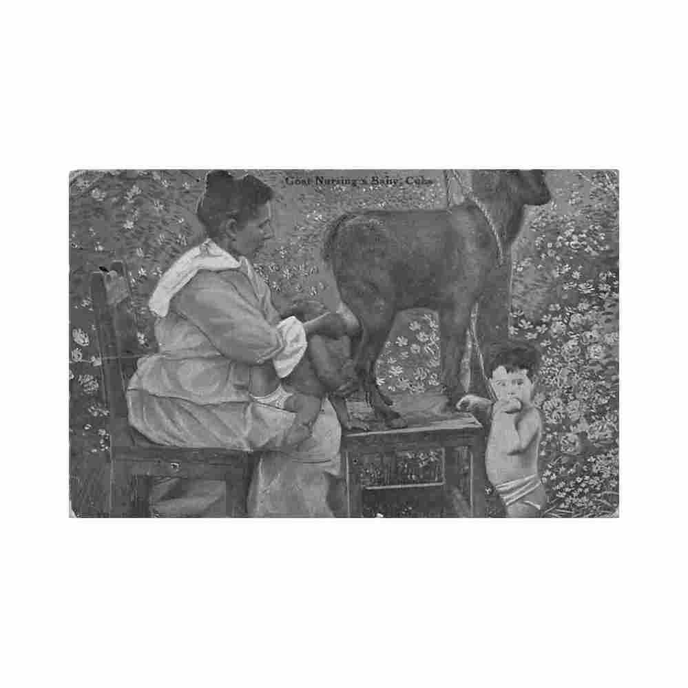 cuba goat nurse baby ed h h stratton Vintage A4 Photo Print