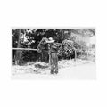 cuba guantanamo bay banana carrier ed desconocido Vintage A4 Photo Print
