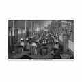 cuba la habana stripping tobacco ed harris bros co 8005 Vintage A4 Photo Print