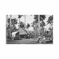 cuba paisaje cubano ed desconocido 26 Vintage A4 Photo Print