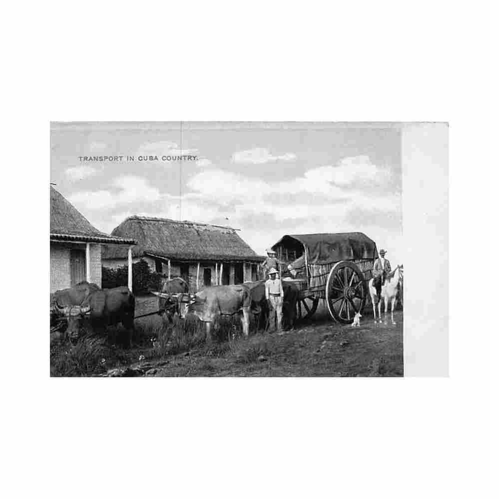 cuba tren de carga cubano ed desconocido Vintage A4 Photo Print