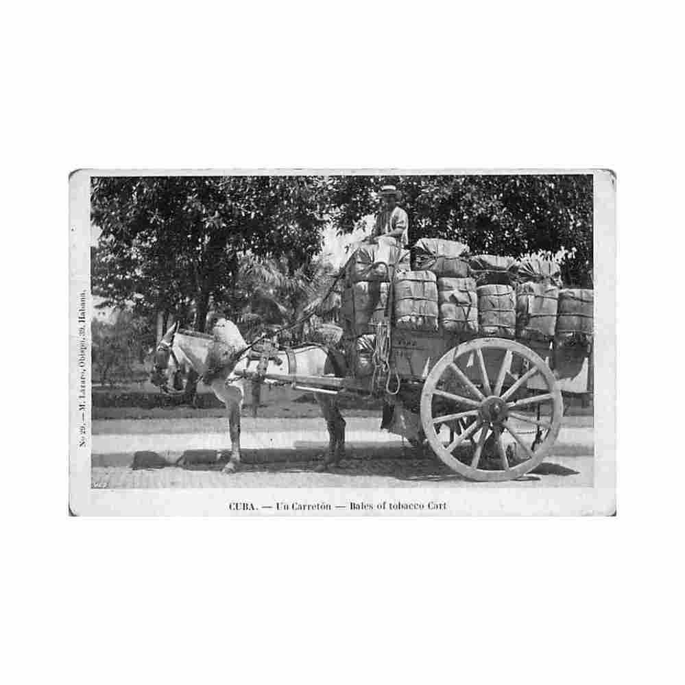 cuba un carreton ed m lazaro 29 Vintage A4 Photo Print