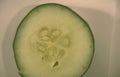 cucumber slice fresh Vintage A4 Photo Print
