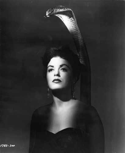 cult of cobra ad 3 film star poster A4 Photo Print