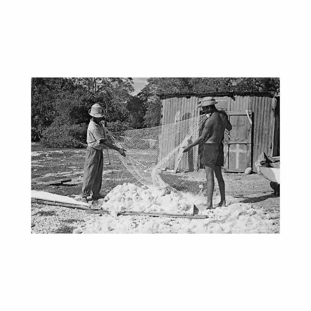 curacao caribbean fishermen l penha sons 60 Vintage A4 Photo Print