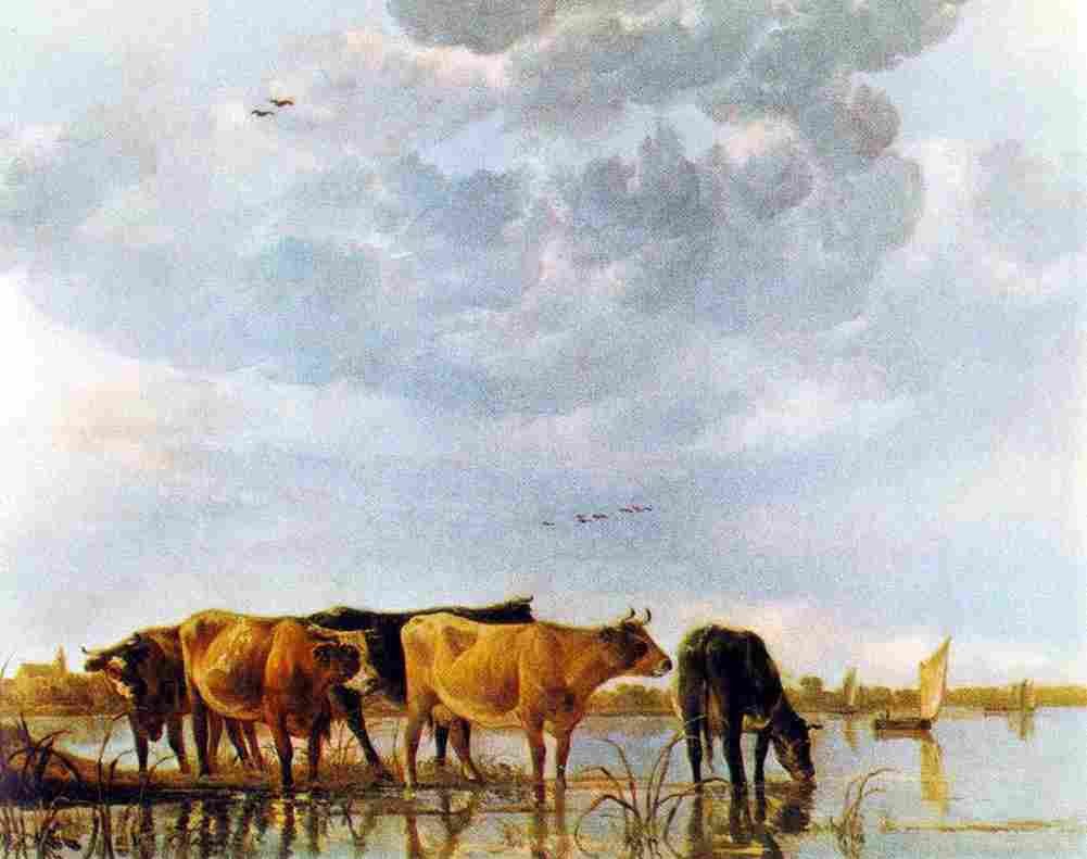 cuy Cows in the Water Art A4 Photo Print