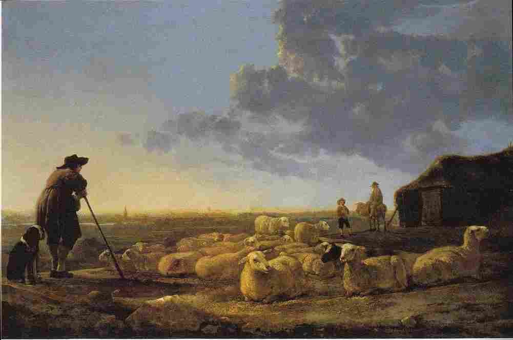 cuy Flock of Sheep at Pasture Art A4 Photo Print