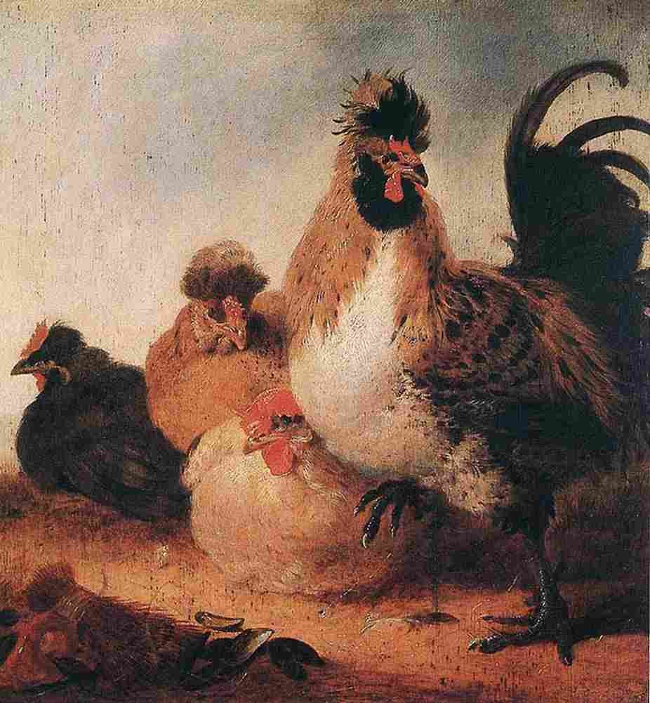 cuy Rooster and Hens Art A4 Photo Print