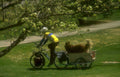 cycling dog trailer Vintage A4 Photo Print