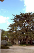 cypress estate courtyard Vintage A4 Photo Print