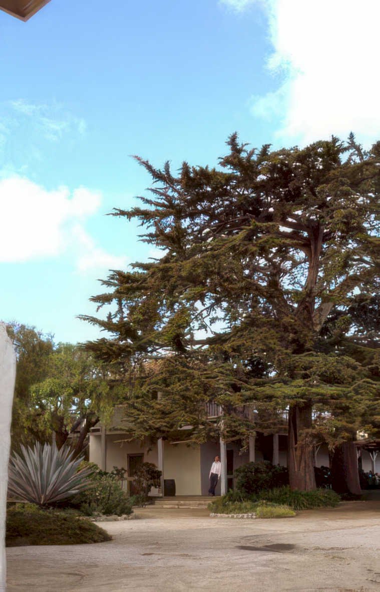 cypress estate courtyard Vintage A4 Photo Print