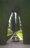 cypress tunnel alhambra 1980s 1990s A4 Photo Print