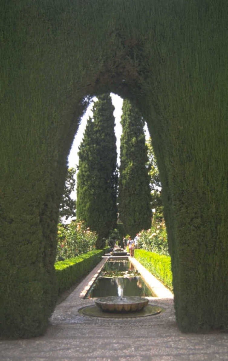cypress tunnel alhambra 1980s 1990s A4 Photo Print