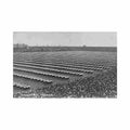 czech rep praha sokol fotograf dite Vintage A4 Photo Print
