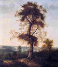 dahl jo Birch in Autumn Landscapes Art A4 Photo Print