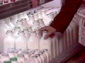dairy shelves milk1980s 1990s A4 Photo Print
