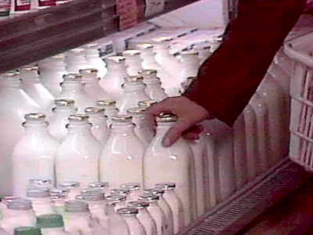 dairy shelves milk1980s 1990s A4 Photo Print