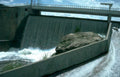 dam waterfall structure Vintage A4 Photo Print