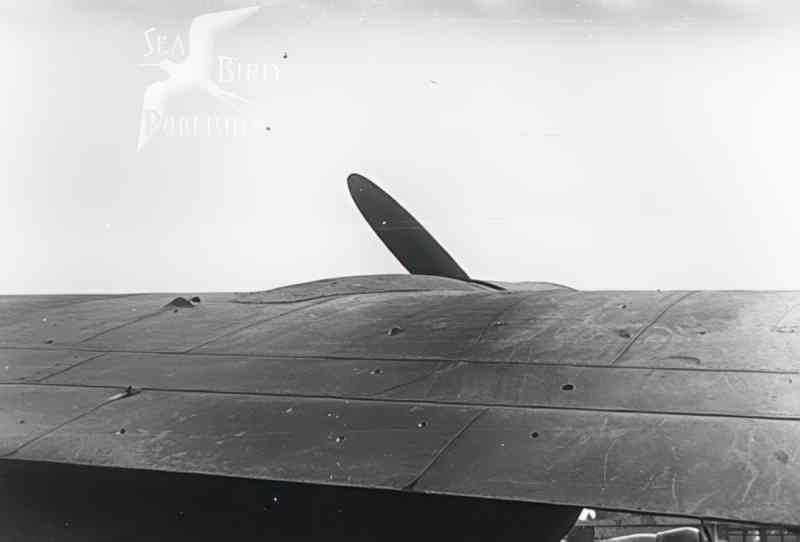 damaged wing sea Vintage world war A4 Photo Print